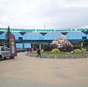 Новосибирский зоопарк приглашает на выпускной летучих мышей