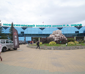 Новосибирский зоопарк приглашает на выпускной летучих мышей