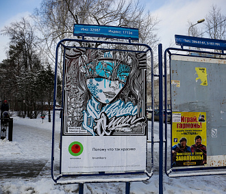 Работами известных граффитистов украсили улицы Новосибирска