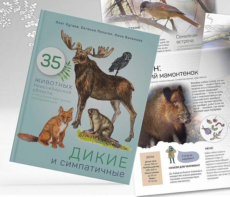 В Новосибирске разыскивают бобра на фотосессию для книги о животных