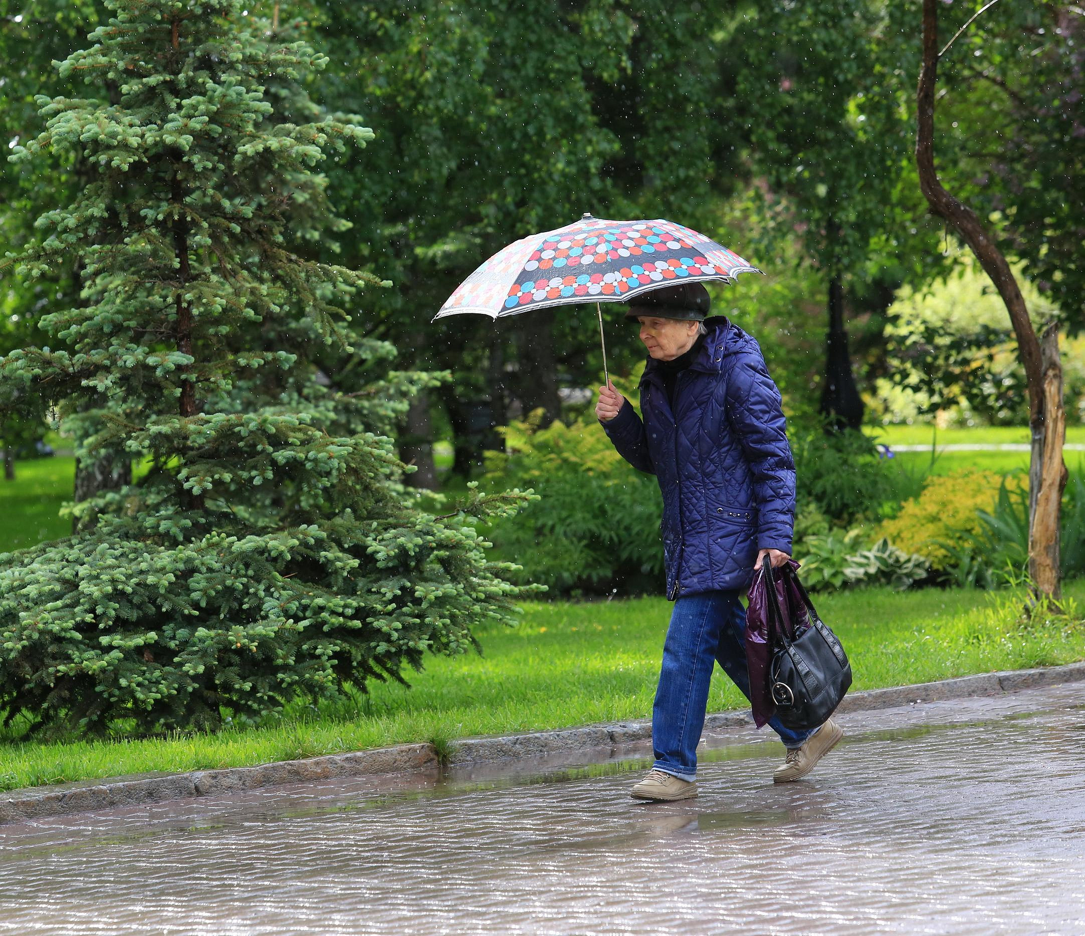 Каспийский циклон принесёт дожди в Новосибирск на этой неделе
