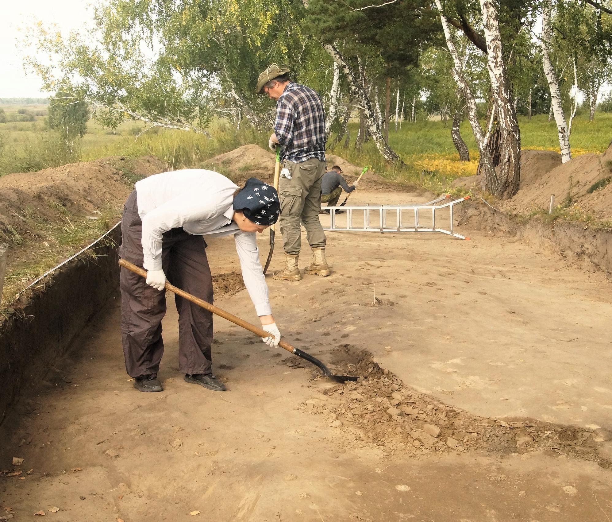 Доисторического медведя из бронзы откопали археологи под Новосибирском