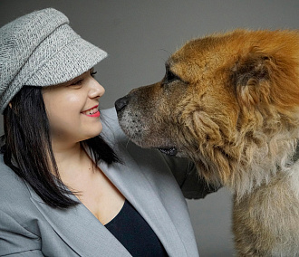 Собаки из новосибирского приюта снялись для календаря на 2022 год