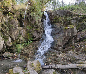 Зверобой и водопад Бучило исследуют студенты-экологи
