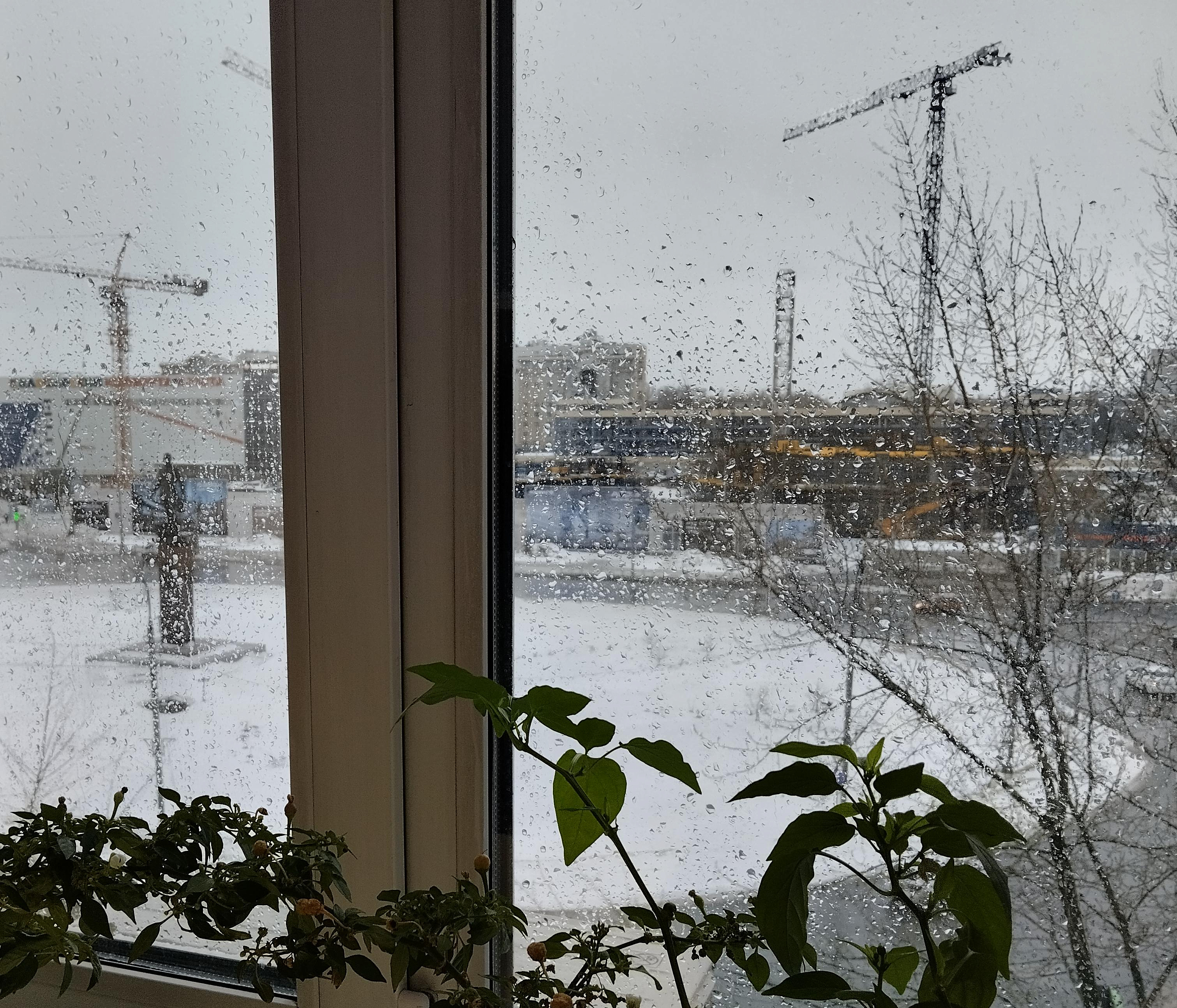 Февральский дождь накрыл Новосибирск