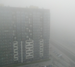 Густой туман в Новосибирске значительно ухудшил видимость на дорогах