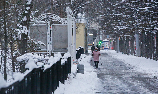Зима на пороге: в последнюю неделю ноября в Новосибирске похолодает