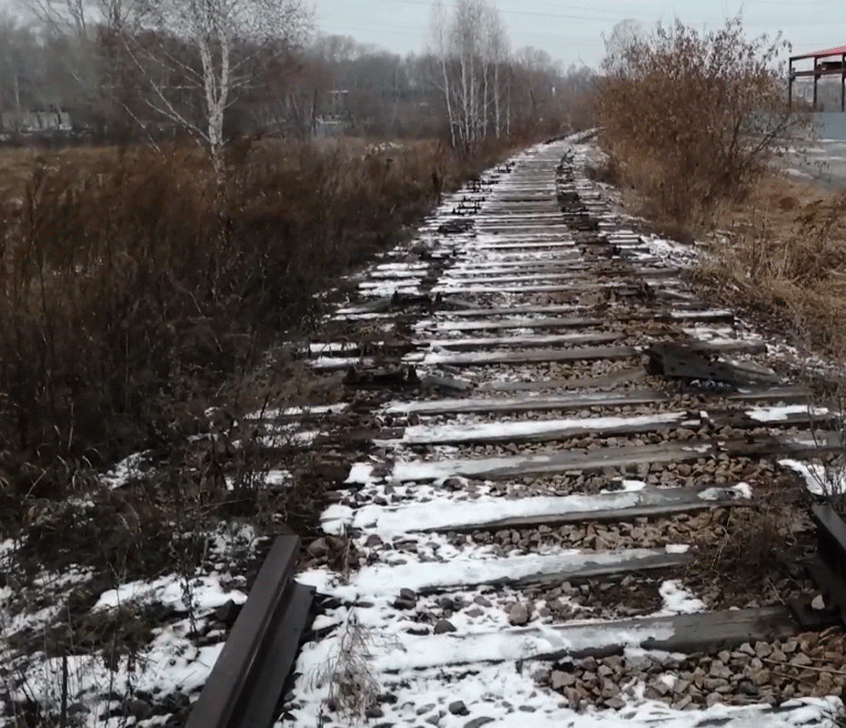 Неизвестные воруют рельсы с заброшенной железной дороги в Новосибирске