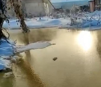 Психбольница сливала фекалии в реку Нарнисту в Новосибирске