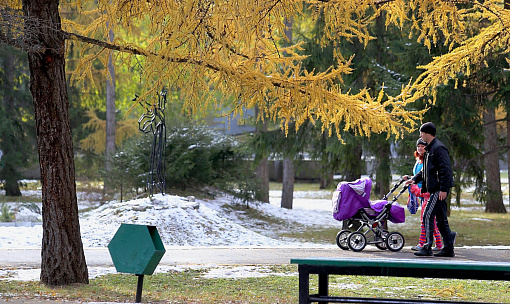 Зима подождёт: тепло до +4 градусов прогнозируют синоптики в Новосибирске