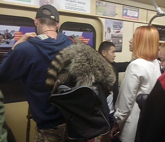 Енот в новосибирском метро рассмешил соцсети