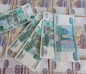 Выплаты к школе малоимущим и многодетным в Новосибирске: условия и суммы