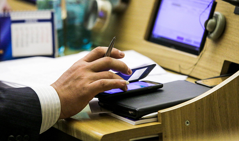 Закон о бродячих животных в Новосибирске приняли в первом чтении