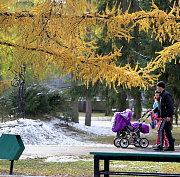 Зима подождёт: тепло до +4 градусов прогнозируют синоптики в Новосибирске