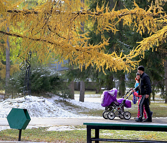 Зима подождёт: тепло до +4 градусов прогнозируют синоптики в Новосибирске