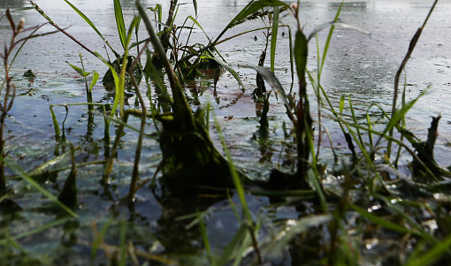 Озеро Жемчужина Сибири проверяют на слив грунтовых вод