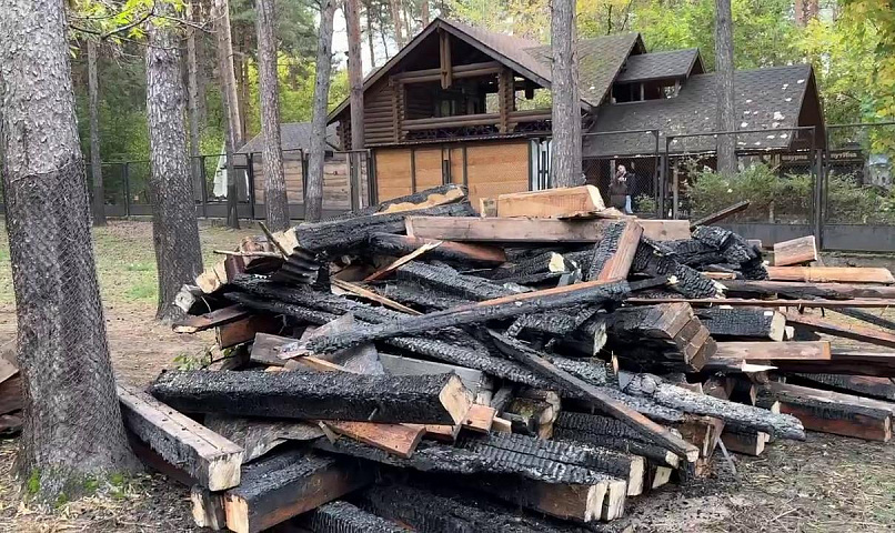 О состоянии спасённых из пожара зверей рассказали в зоопарке Новосибирска