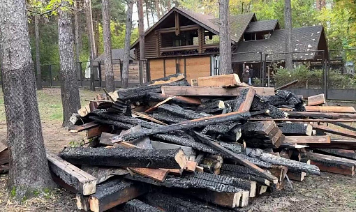 О состоянии спасённых из пожара зверей рассказали в зоопарке Новосибирска