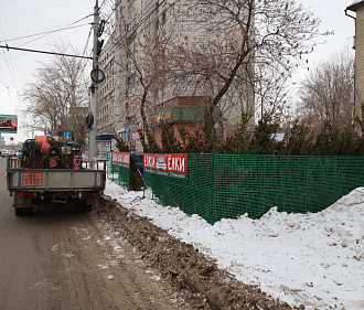 Нелегальный ёлочный базар вывезли с улицы Титова в Новосибирске