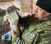 64 новосибирских ветерана СВО завели свой бизнес благодаря господдержке