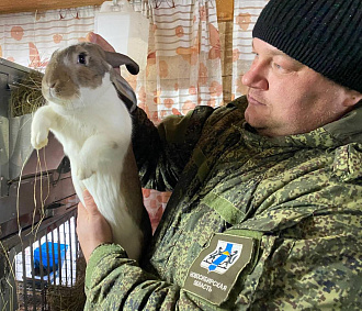 64 новосибирских ветерана СВО завели свой бизнес благодаря господдержке