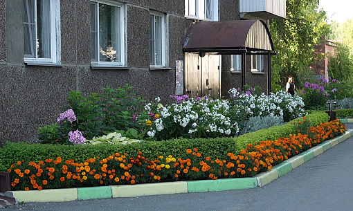 Выбираем лучшую клумбу Новосибирска: Тенистая, 23