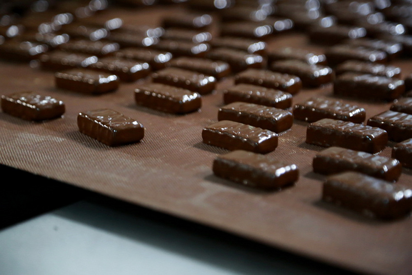 Шоколад подорожает. Новосибирская шоколадная фабрика. Подсолнух в шоколаде от Новосибирской фабрики. ЦУМ шоколадная фабрика. Фото шоколада Кама.