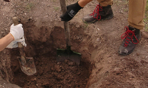 Владельцы коттеджей делают грядки на древних курганах под Новосибирском