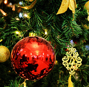 «Новогодний автобус» побывает в девяти детских больницах Новосибирска