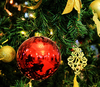 «Новогодний автобус» побывает в девяти детских больницах Новосибирска