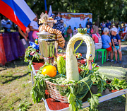 Высадят деревья и споют частушки: где отметят День соседей в Новосибирске