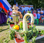 Высадят деревья и споют частушки: где отметят День соседей в Новосибирске