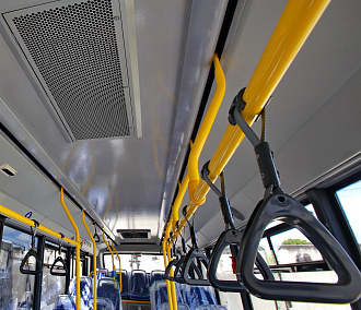 Три автобуса и две маршрутки меняют схему движения в Новосибирске