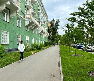 Мэр Кудрявцев показал зазеленевшие газоны на Урицкого