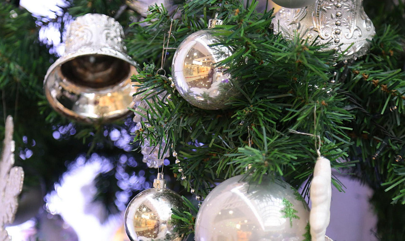 Ажиотажный спрос на новогодние корпоративы устроили новосибирцы