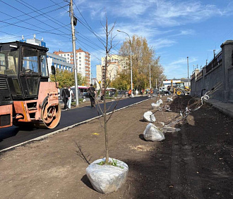 Мэр Кудрявцев: 80 молодых лип и елей высаживают на Бориса Богаткова