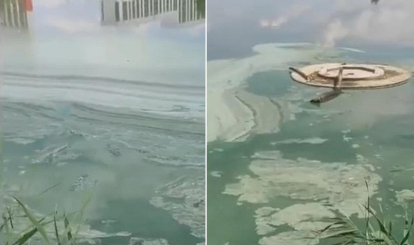Новосибирцев попросили не купаться в цветущей воде из-за обилия микробов