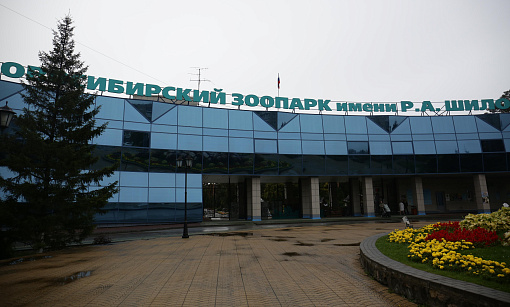 Несите тыквы: ящик для сбора урожая поставили у главного входа в зоопарк