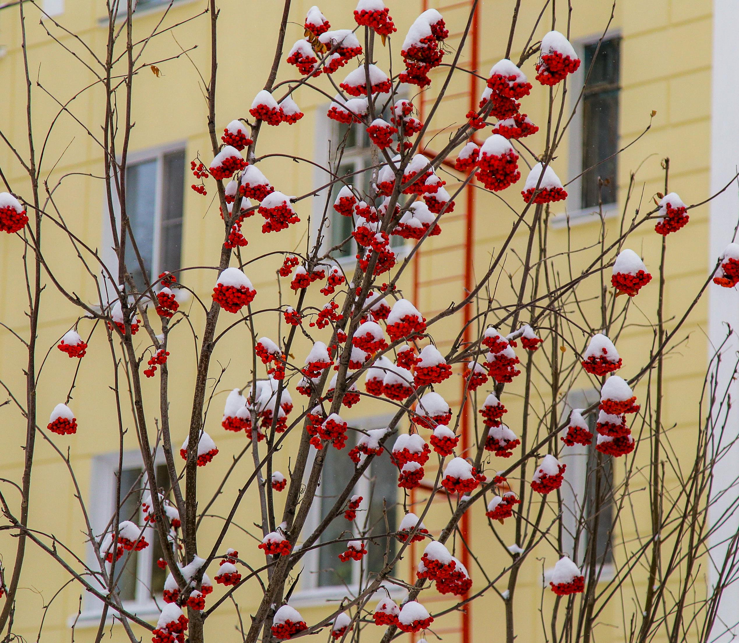 На температурных качелях покачает погода новосибирцев в выходные