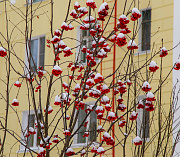 На температурных качелях покачает погода новосибирцев в выходные