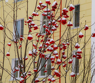 На температурных качелях покачает погода новосибирцев в выходные