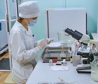 Сначала на животных: в Новосибирске нашли вещество, убивающее коронавирус