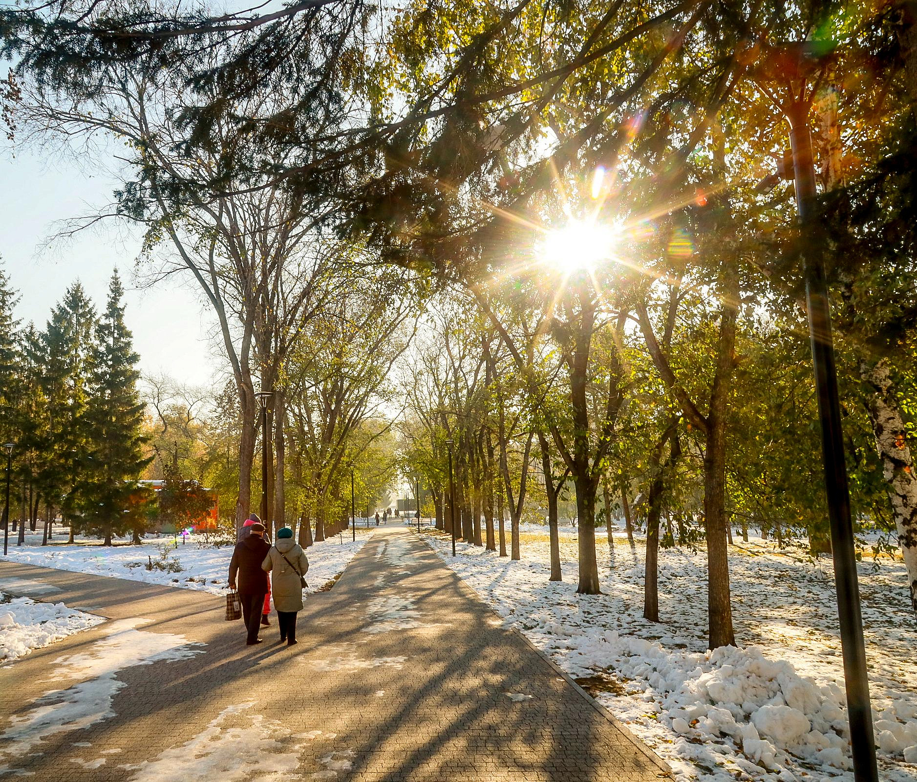 Потепление до +10 градусов ждёт новосибирцев к концу рабочей недели