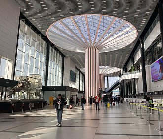 Мужчину с телескопической дубинкой задержали в новосибирском аэропорту