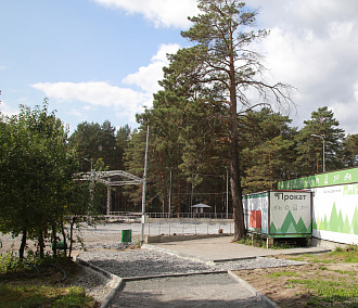 Камеры для наблюдения за животными установят в Заельцовском парке