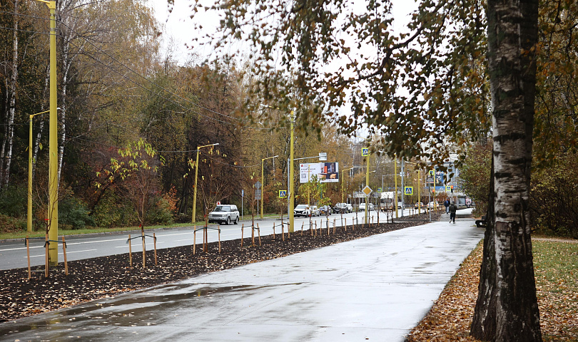 Яблони, ивы и черёмухи: 1346 деревьев и кустов украсили Советский район