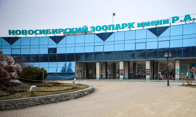 Японские макаки поселились в Новосибирском зоопарке