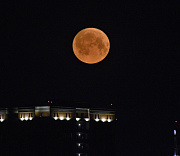 Луна закроет Плеяды: редкое явление увидят сибиряки в Новый год