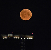 Луна закроет Плеяды: редкое явление увидят сибиряки в Новый год