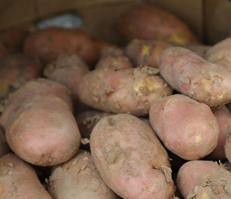 Нетипично высокие цены на картошку зафиксировали в Новосибирске